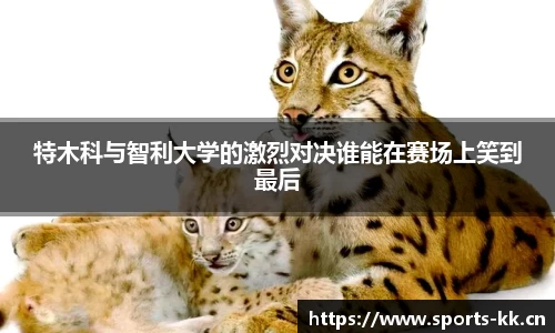 kk体育平台